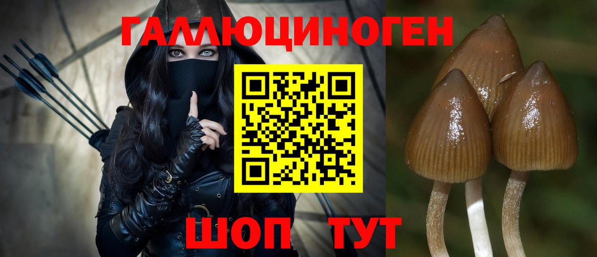 Галлюциногенные грибы ЛСД Ефремов